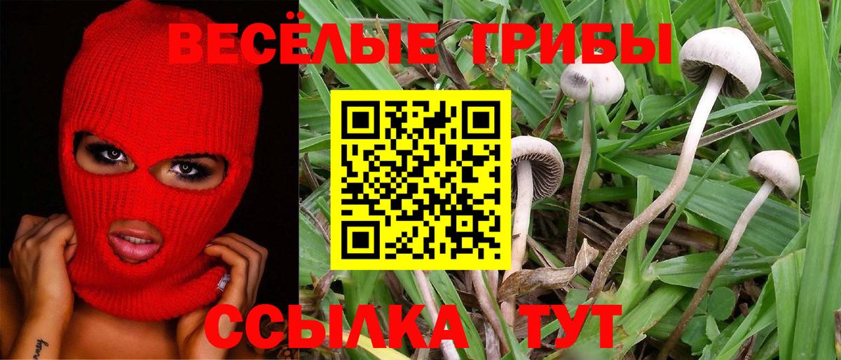 Карталы  Псилоцибиновые грибы MAGIC MUSHROOMS  купить наркоту  Вход с VPN 