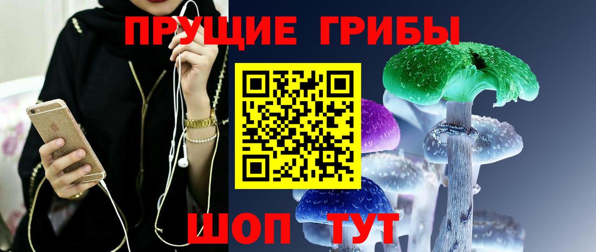 Псилоцибиновые грибы Psilocybe Карталы